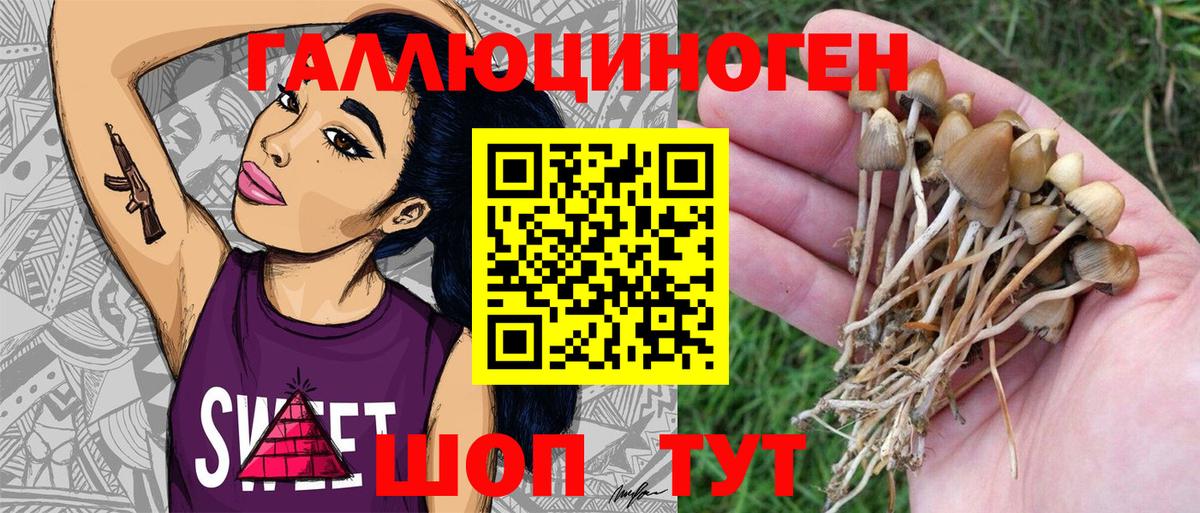Пушкино  Галлюциногенные грибы Psilocybe  Вход с VPN 